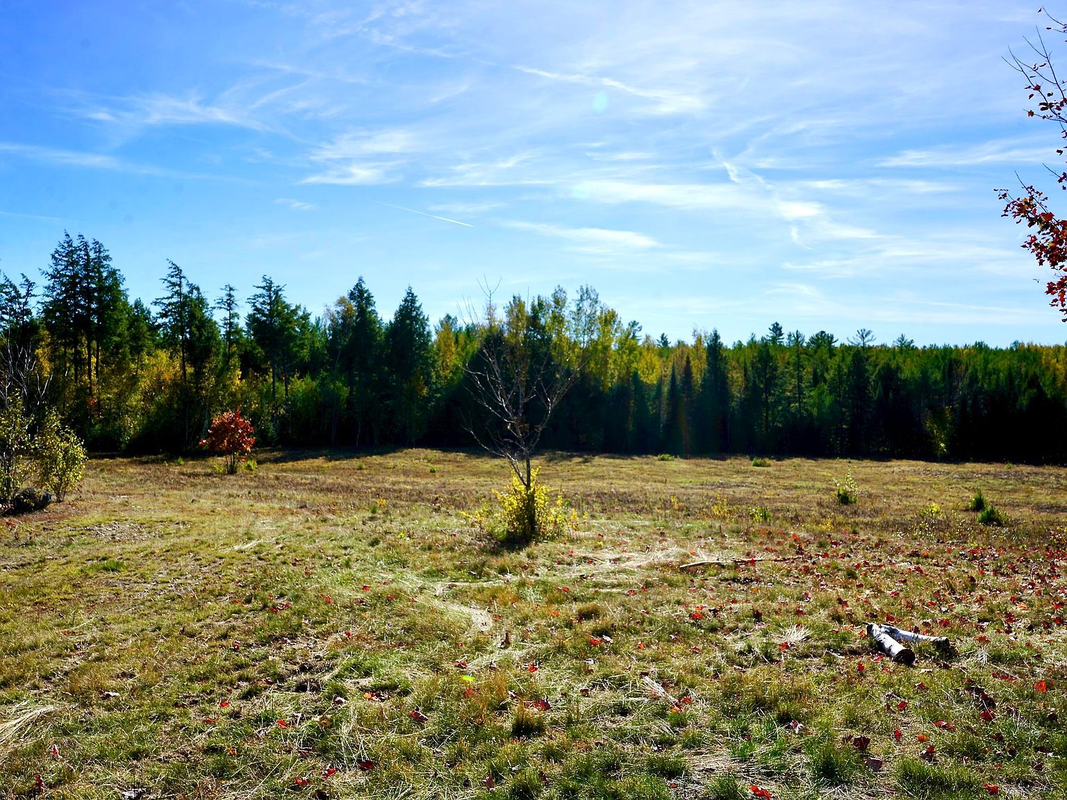 780 Spring Bridge Rd Greenbush, ME 04418 - Thumbnail 5