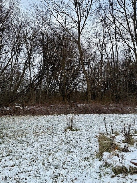 3028 Dearborn Ave Youngstown, OH 44510 - Thumbnail 5