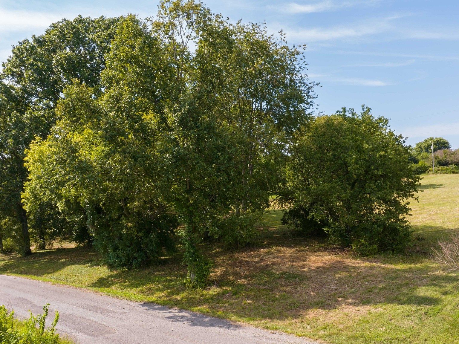 515 Branham Mill Rd Gallatin, TN 37066 - Thumbnail 5