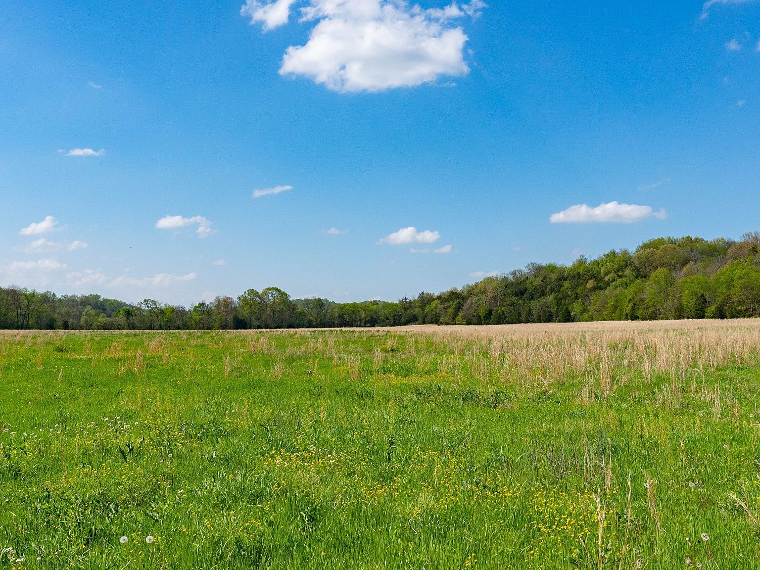 0 Pee Dee Branch Rd LOT 2-9 Cottontown, TN 37048 - Thumbnail 5