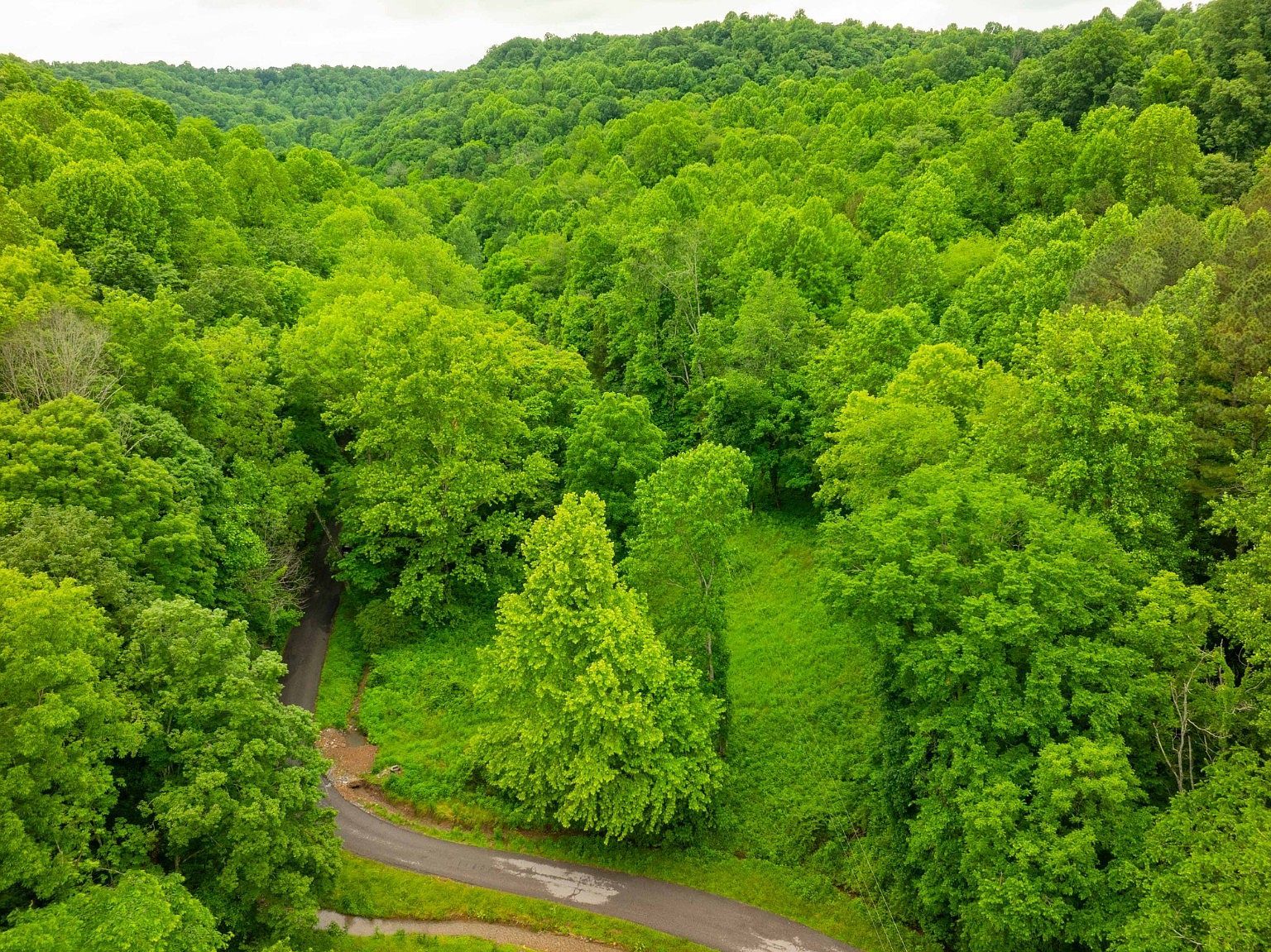 765 Leath Chapel Rd Bethpage, TN 37022 - Thumbnail 5