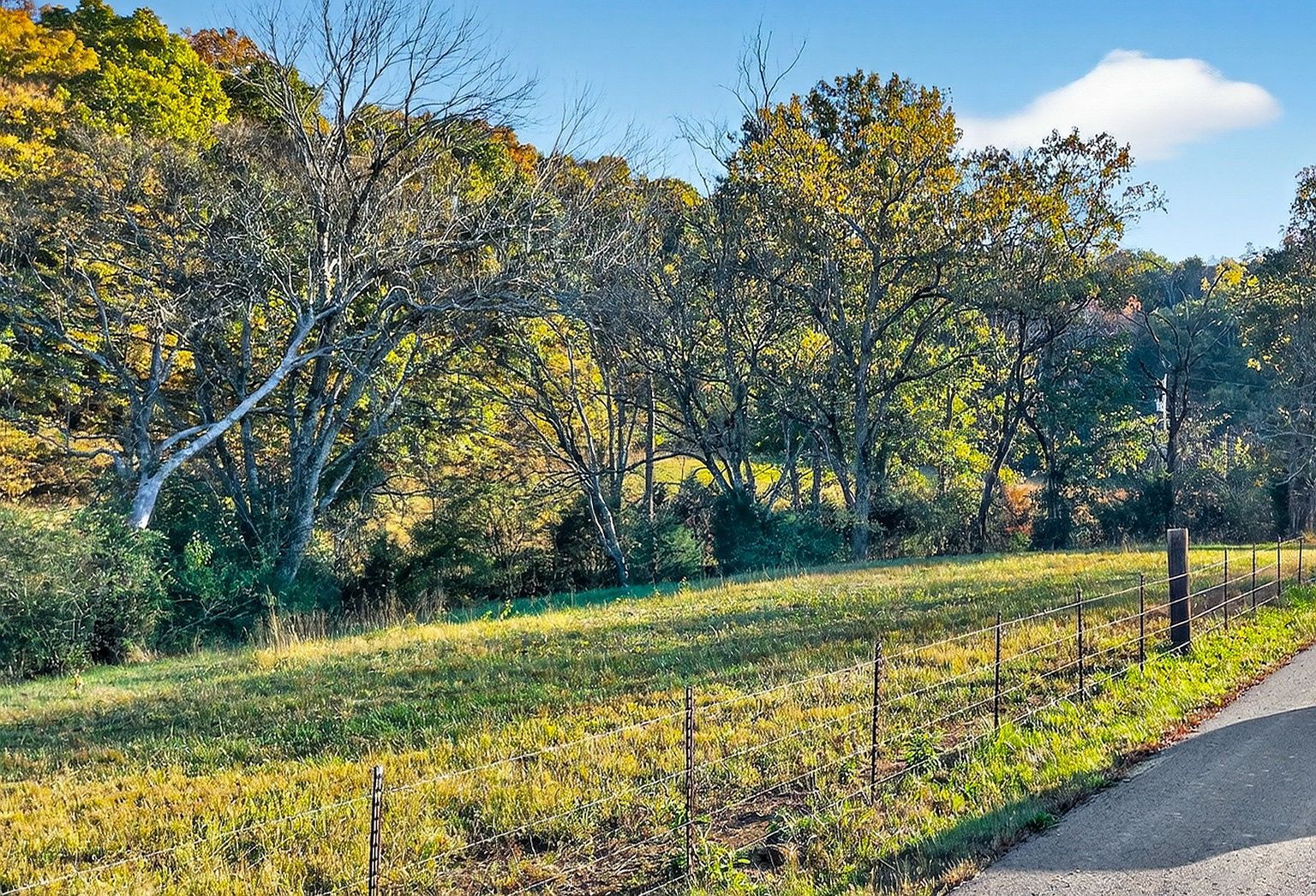 0 County House Rd Cottontown, TN 37048 - Thumbnail 5