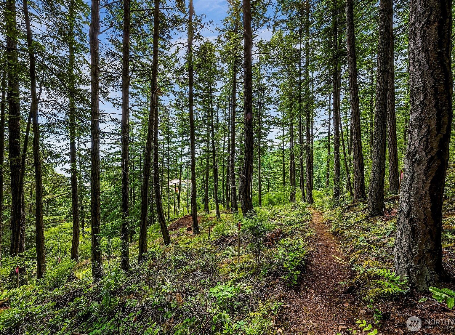 3073 Hales Passage Dr Lummi Island, WA 98262 - Thumbnail 5