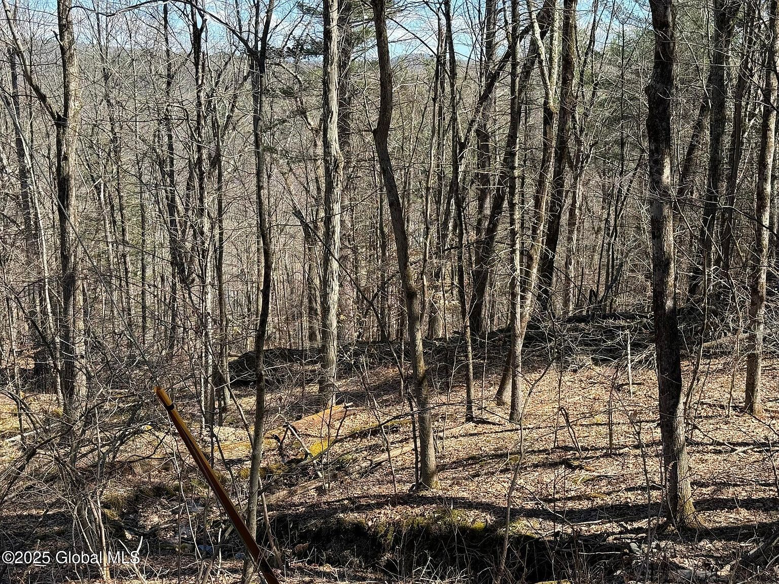 L1724 Tsatsawassa Lake Rd East Nassau, NY 12062 - Thumbnail 5