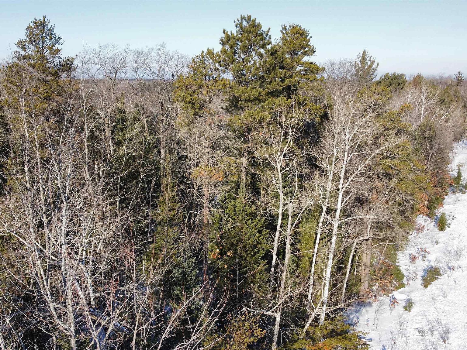 PARCEL M 553 Hwy #B Gwinn, MI 49841 - Thumbnail 5