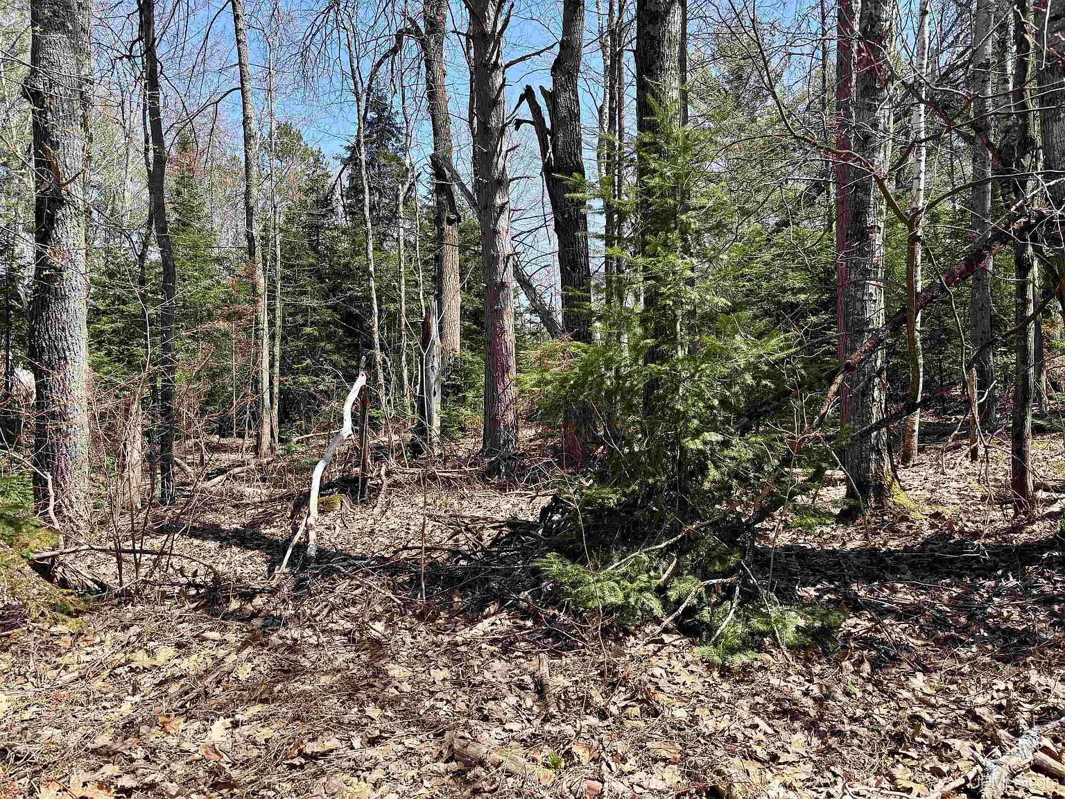 County Road 581 Ishpeming, MI 49849 - Thumbnail 5