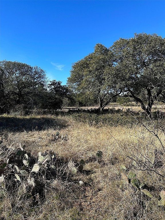 127 Woods Landing Dr Brownwood, TX 76801 - Thumbnail 5