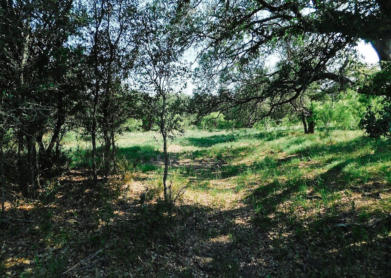 LOT 7 Morris Sheppard Dr Brownwood, TX 76801 - Thumbnail 5