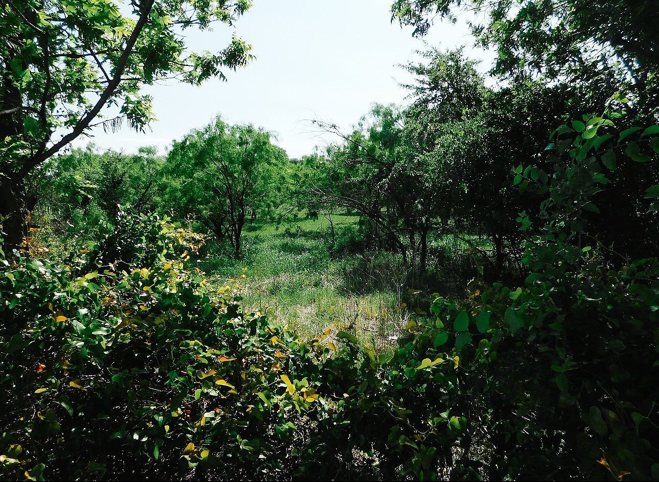 LOT 8 Morris Sheppard Dr Brownwood, TX 76801 - Thumbnail 5