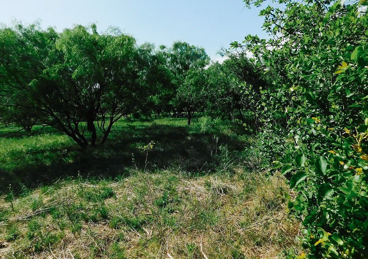 LOT 11 Morris Sheppard Dr Brownwood, TX 76801 - Thumbnail 5