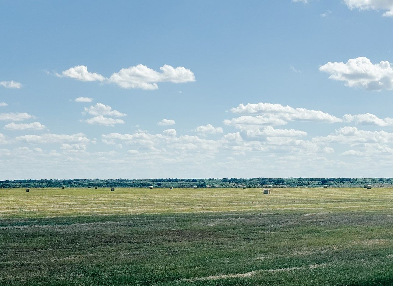 201ACRE S County Road 419 Rochelle, TX 76872 - Thumbnail 5