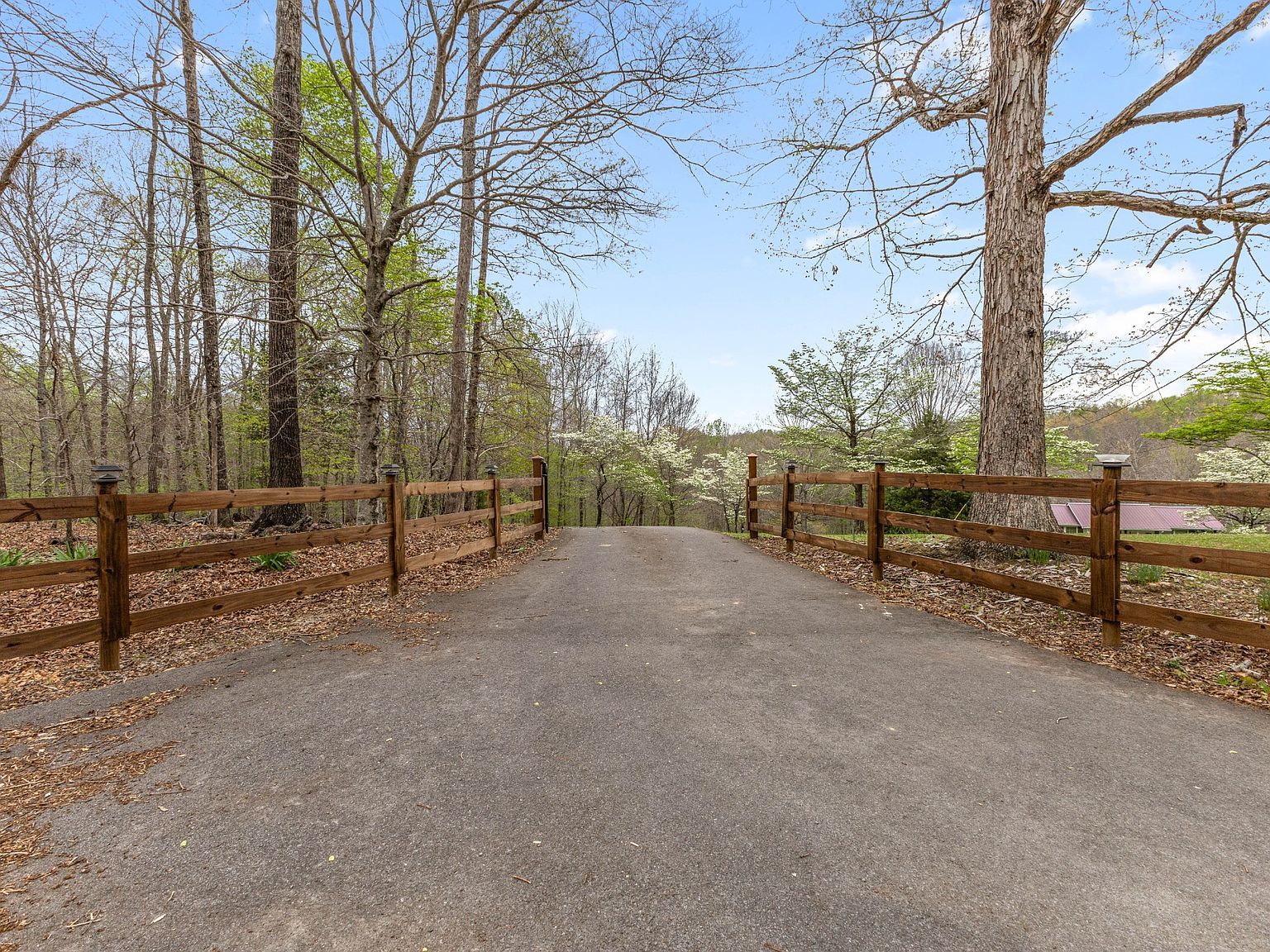 180 Hill Rd Vanleer, TN 37181 - Thumbnail 5