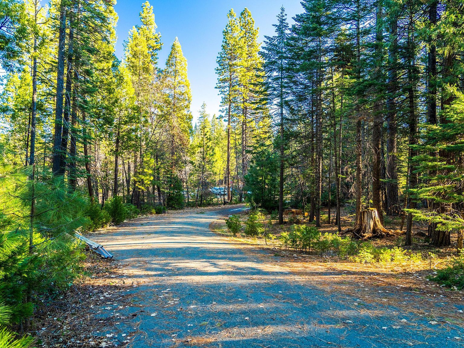 Chateau Dr Shingletown, CA 96088 - Thumbnail 5