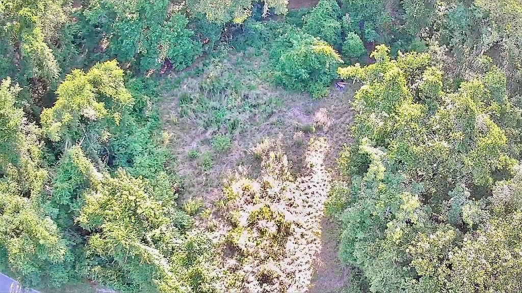 6518 S Withlapopka Dr #1 Floral City, FL 34436 - Thumbnail 5