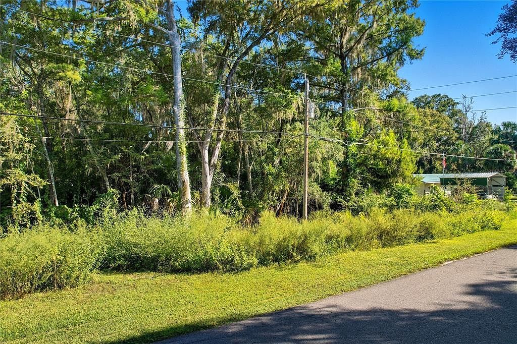 County Road 401 LOT 26 Lake Panasoffkee, FL 33538 - Thumbnail 5