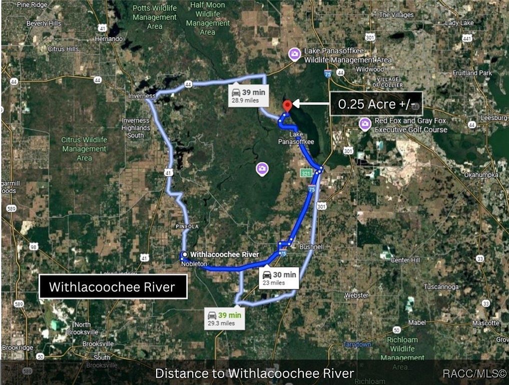 County Road 401 Lake Panasoffkee, FL 33538 - Thumbnail 5