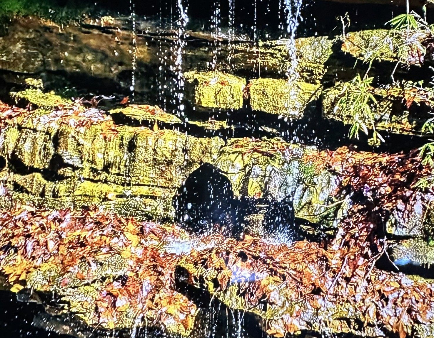 2024 Powdermill Hill Rd Lawrenceburg, TN 38464 - Thumbnail 5