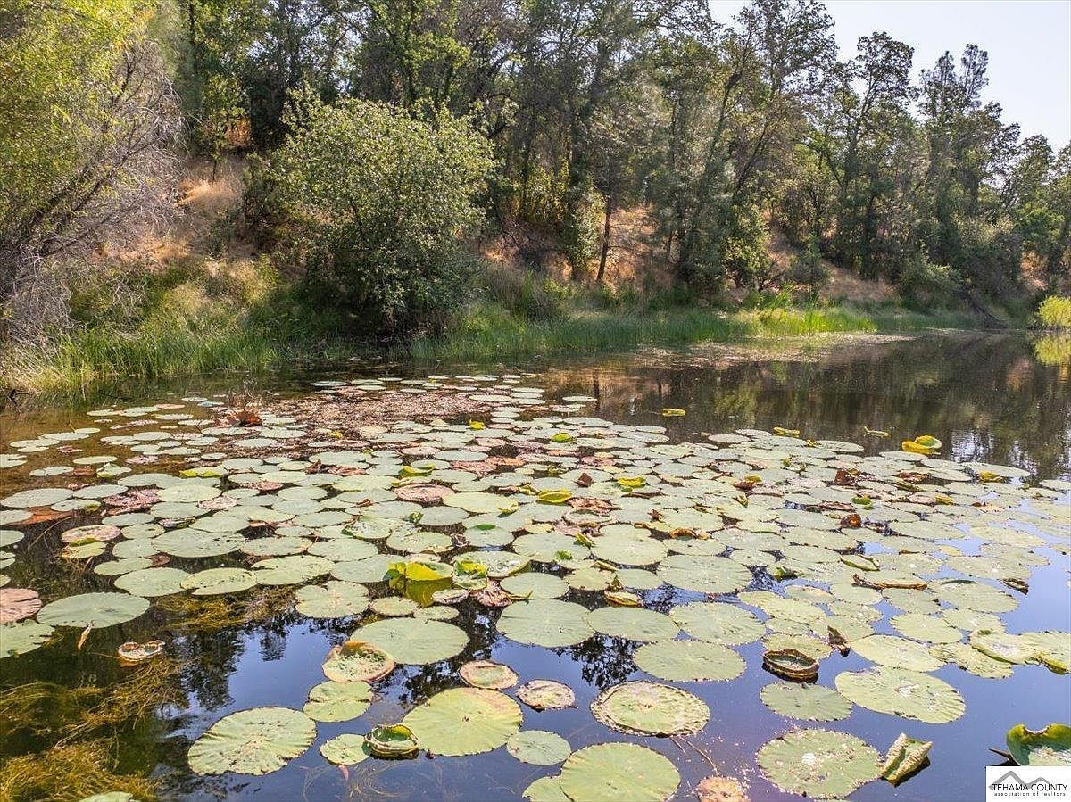 0 Two Feathers Rd, Cottonwood, CA, 96022 - Thumbnail 5