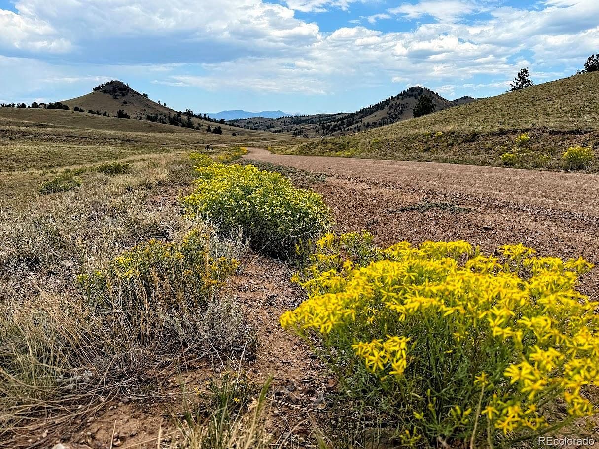 Cherokee Trl Hartsel, CO 80449 - Thumbnail 5