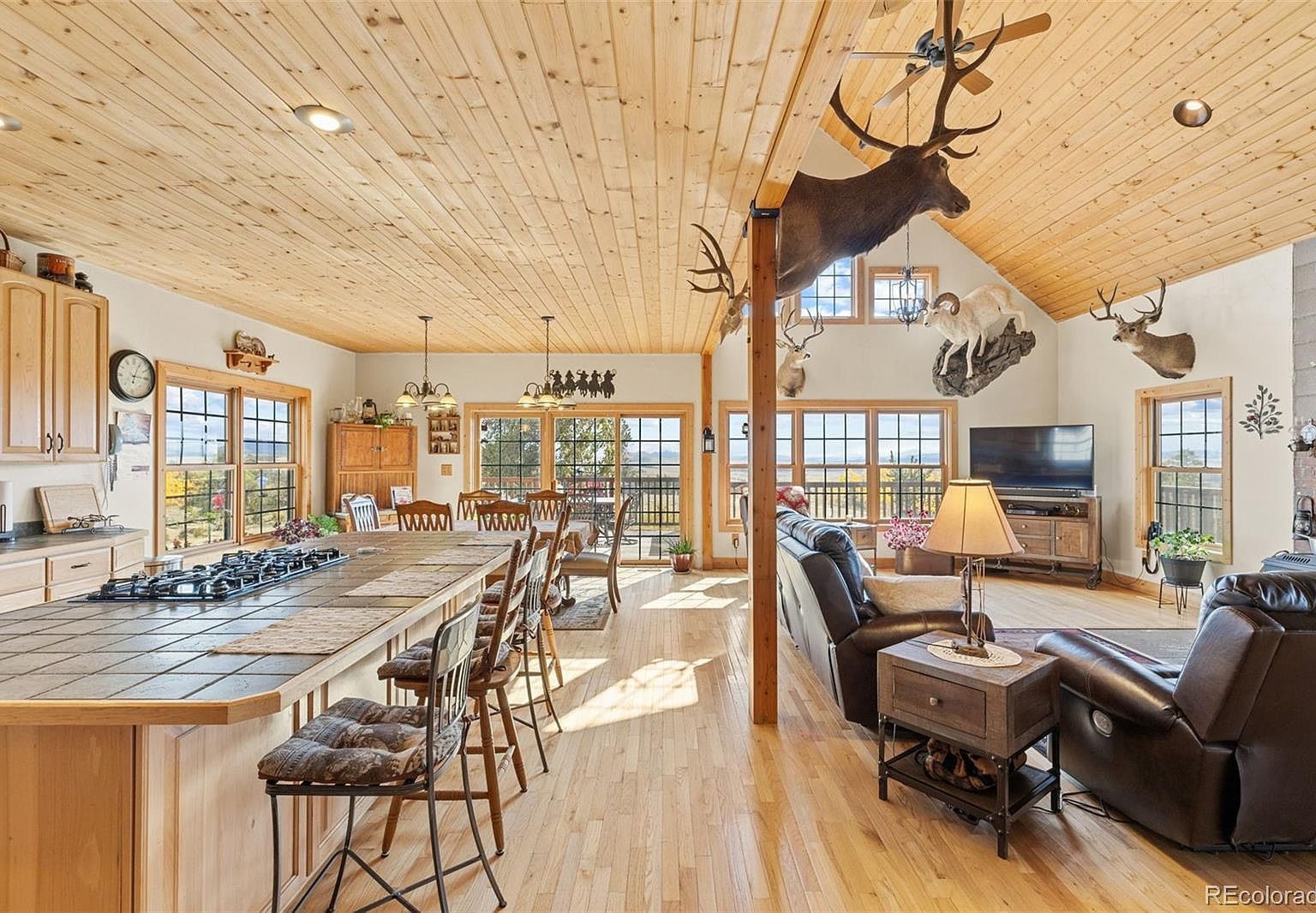 76 No Place Rd Hartsel, CO 80449 - Thumbnail 5