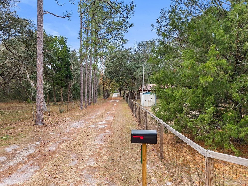 461 NE 432nd Ave Old Town, FL 32680 - Thumbnail 5