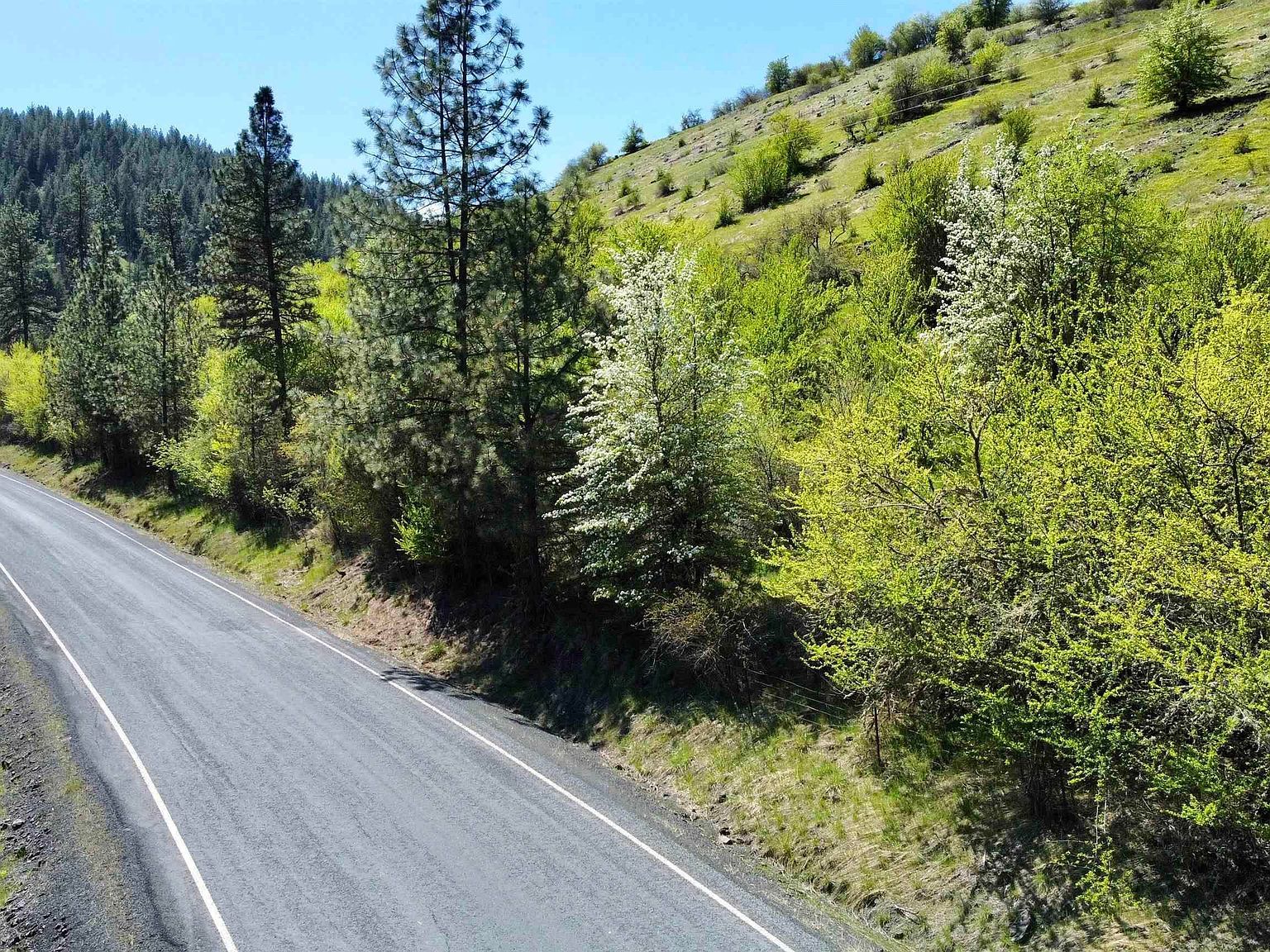 7AC Lukes Gulch Rd Stites, ID 83552 - Thumbnail 5