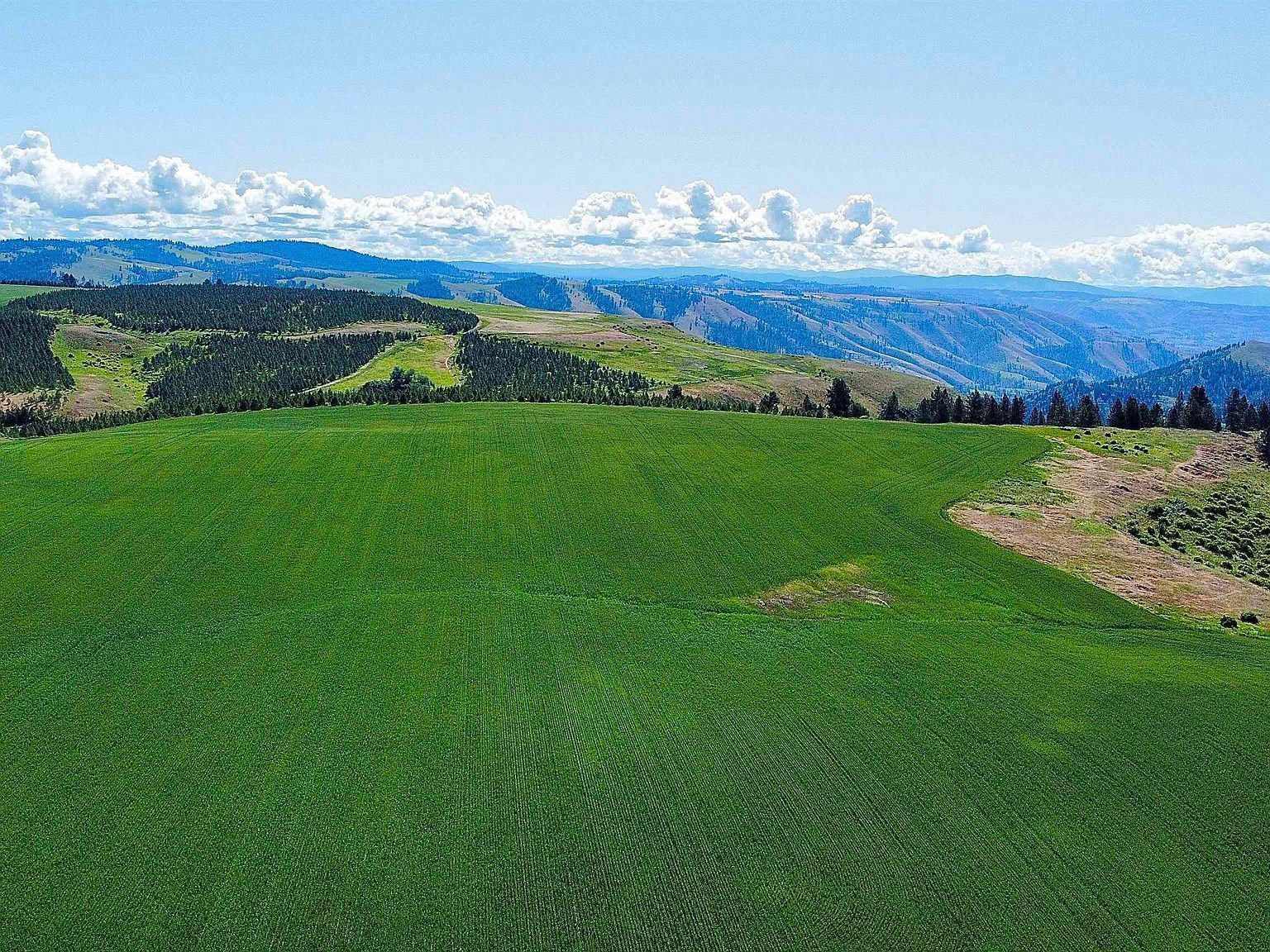 Basket Rd PARCEL 1 Nezperce, ID 83543 - Thumbnail 5