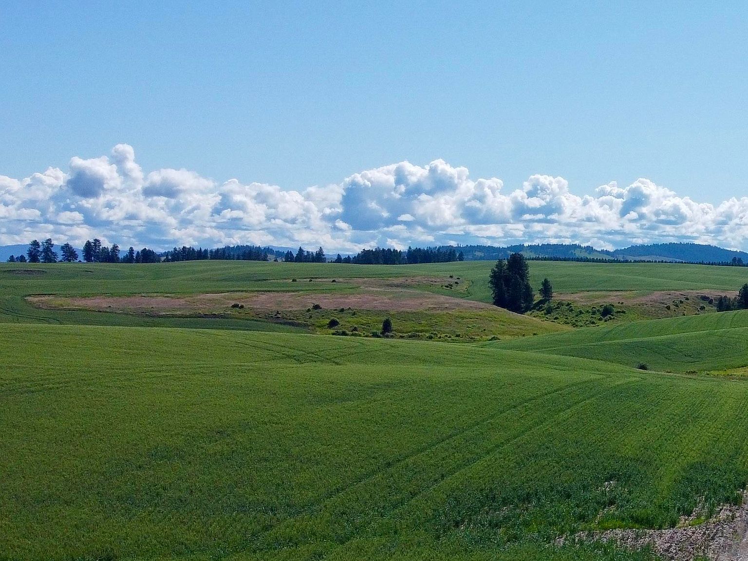 Basket Rd PARCEL 2 Nezperce, ID 83543 - Thumbnail 5