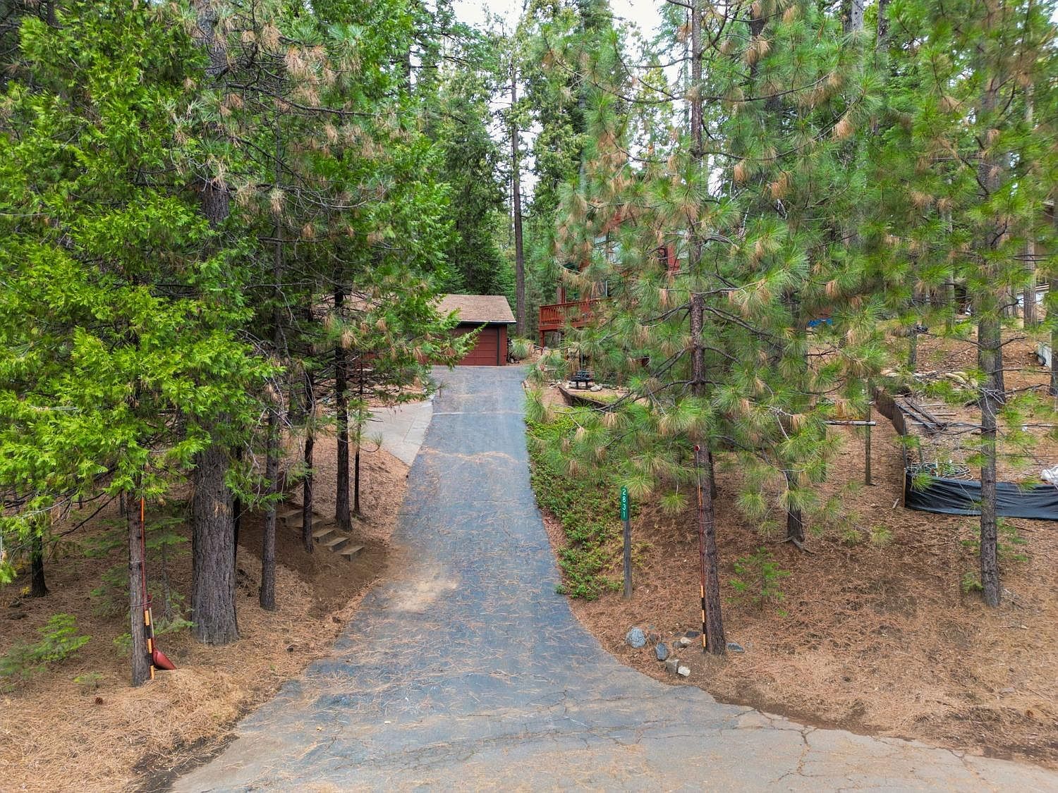 2831 Nowach Ct Arnold, CA 95223 - Thumbnail 5