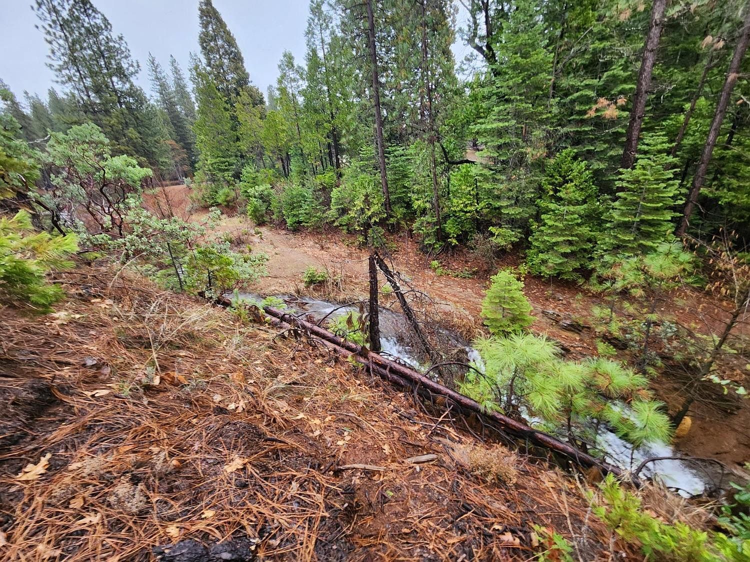 4337 Lakemont Dr Arnold, CA 95223 | Land/Lot