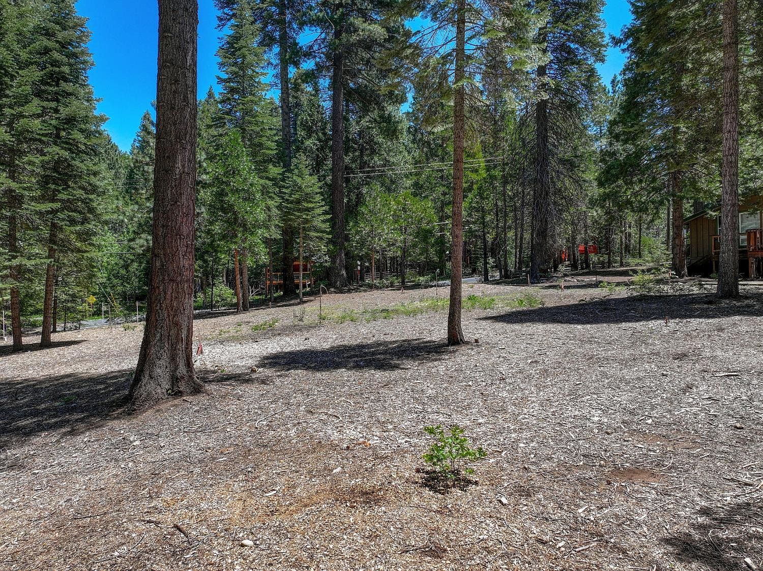 3380 El Camino Boot Strap Arnold, CA 95223 - Thumbnail 5