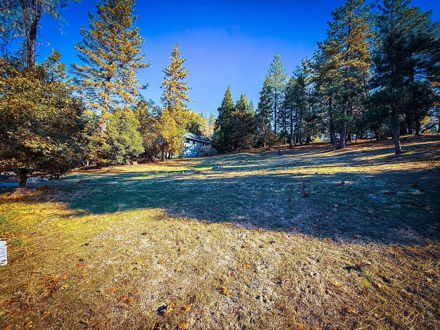 297 Forest Meadows Dr Murphys, CA 95247 - Thumbnail 5