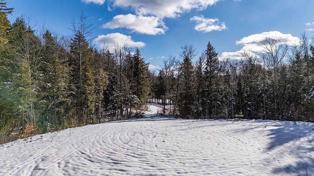 3 Kimpton Brook Rd Wilmot, NH 03287 - Thumbnail 5