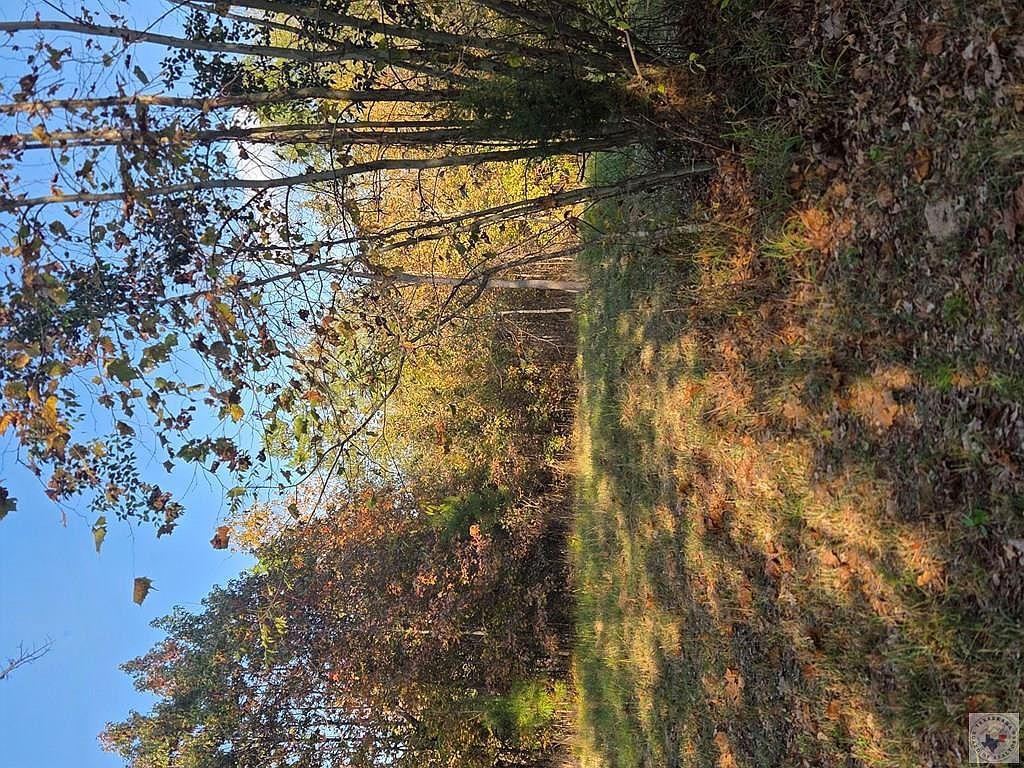 55ACRE S County Road 3117 Clarksville, TX 75426 - Thumbnail 5