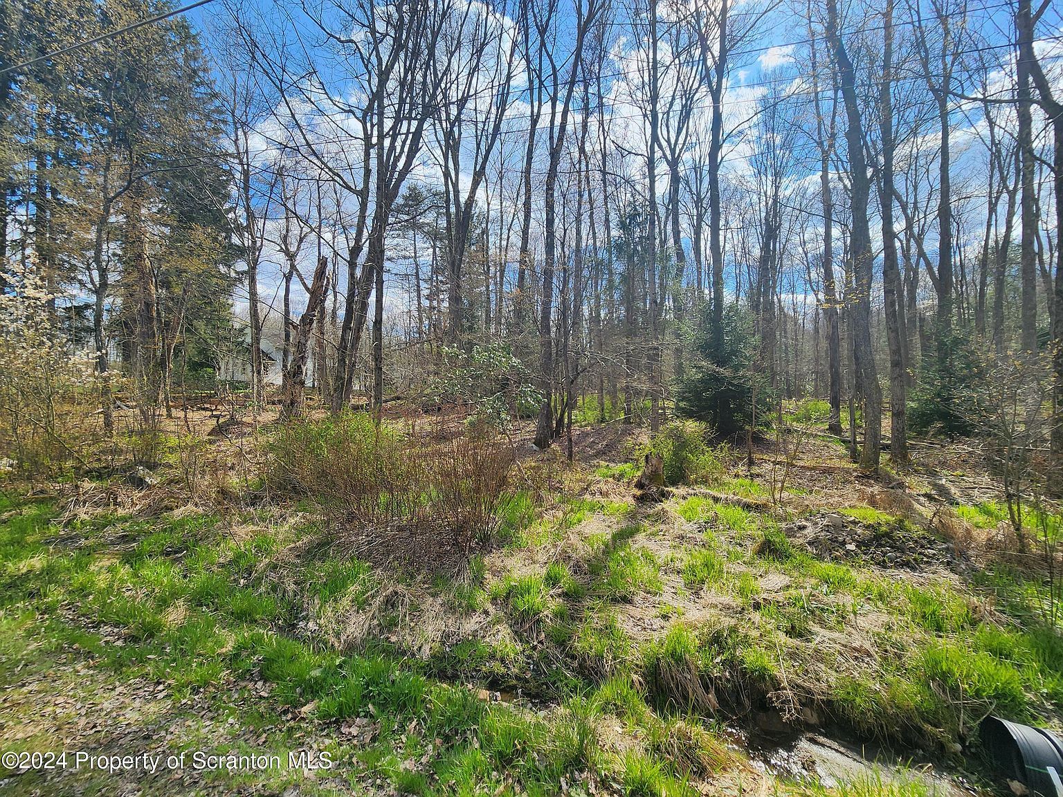 Ridge St Moscow, PA 18444 - Thumbnail 5