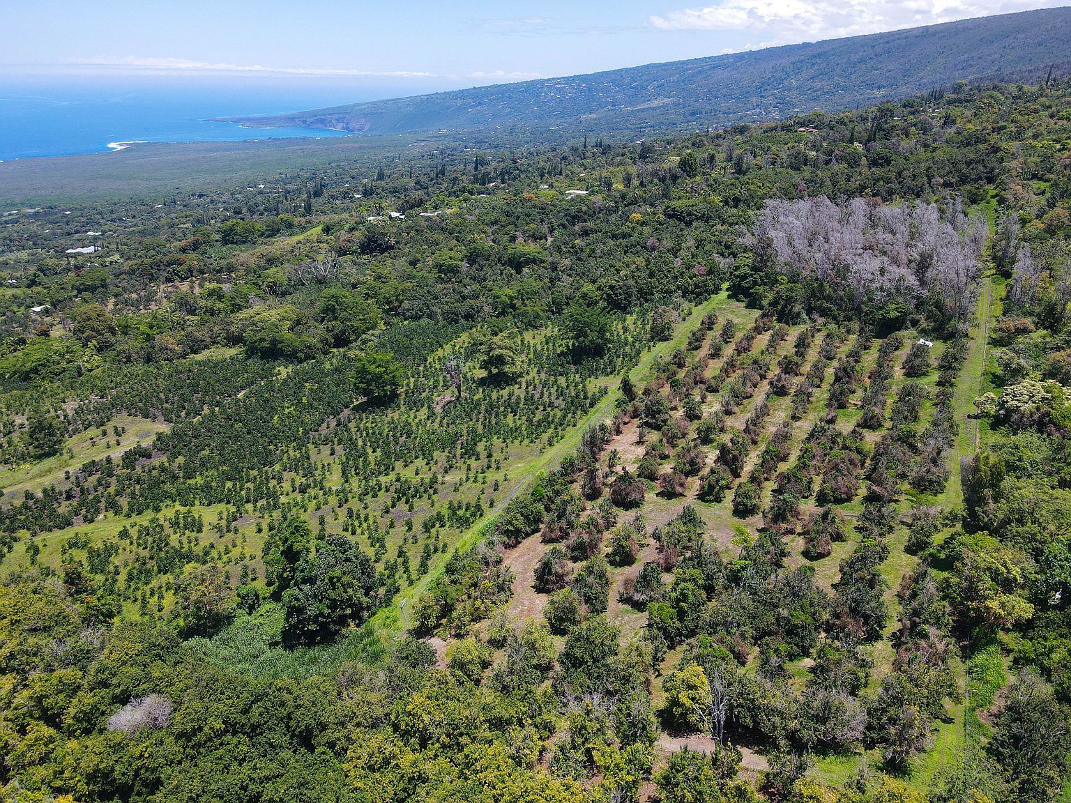 84-1178 Telephone Exchange Rd LOT B-8 Captain Cook, HI 96704 - Thumbnail 5