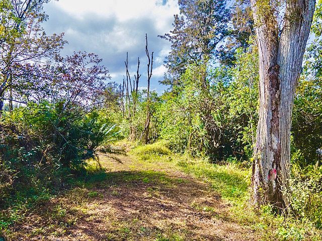 89-806 Huanui Rd Lot 28 Captain Cook, HI 96704 - Thumbnail 5