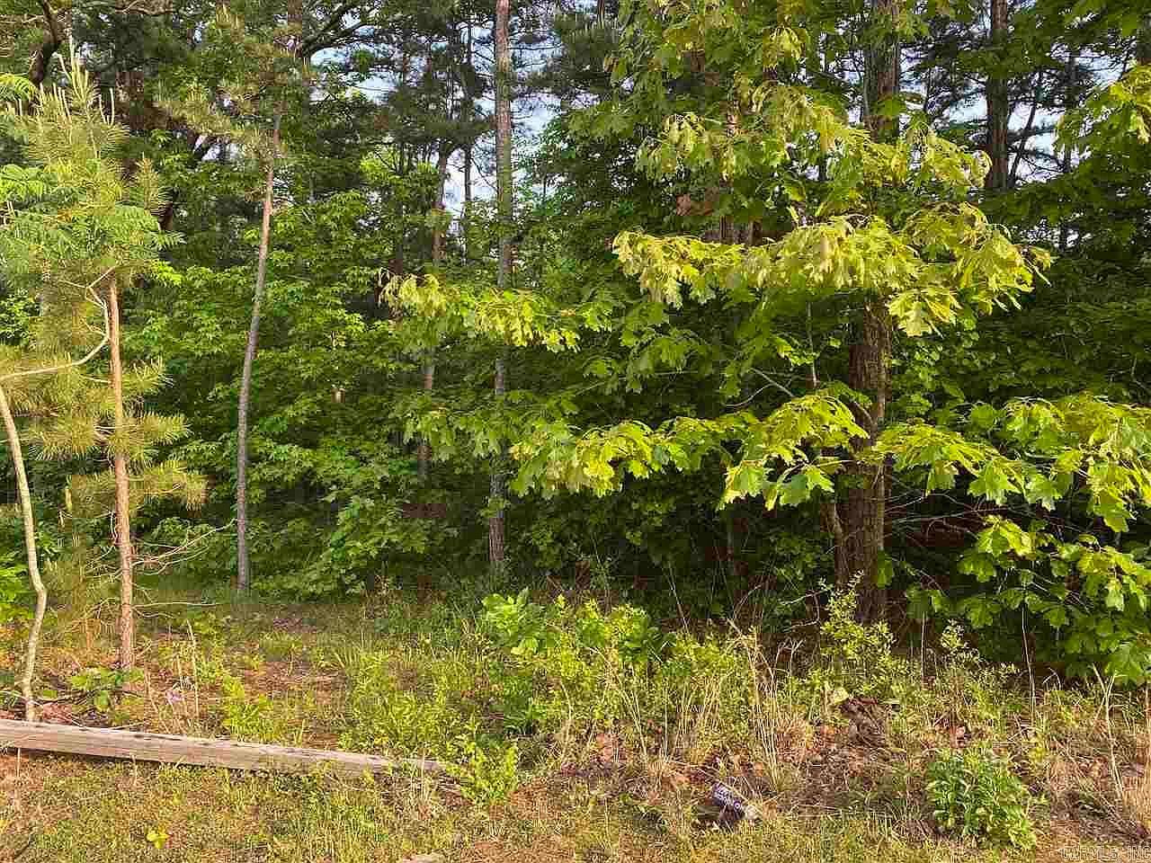 0 W David O Dodd Chruch Little Rock, AR 72204 - Thumbnail 5