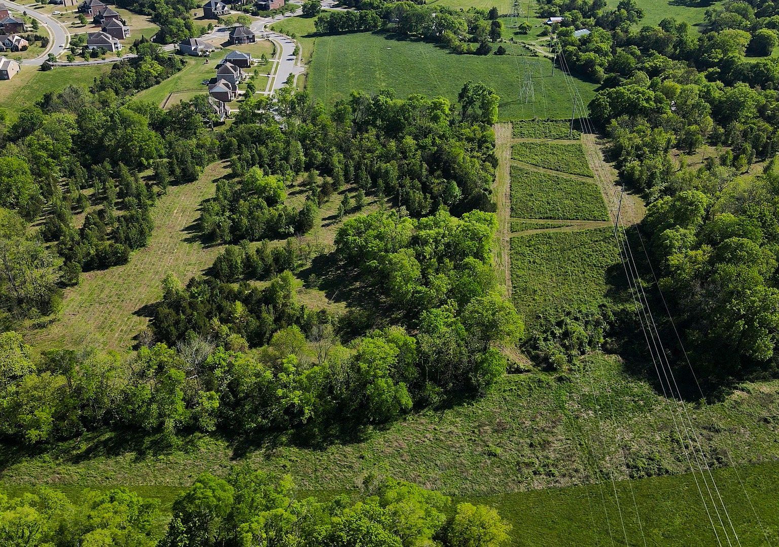 691 Green Hill Blvd Brentwood, TN 37027 - Thumbnail 5