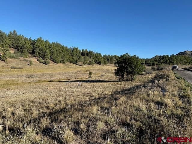 980 Catchpole Dr Pagosa Springs, CO 81147 - Thumbnail 5