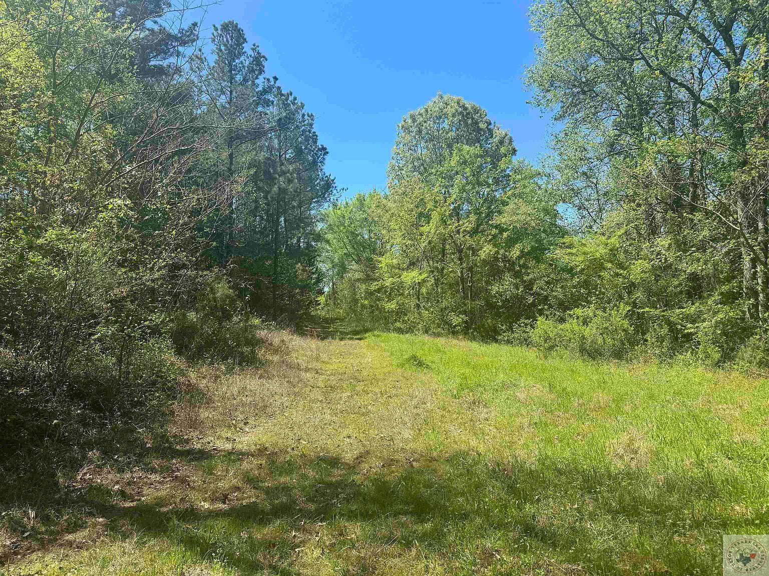 6889 Fm 1399 Linden, TX 75563 - Thumbnail 5