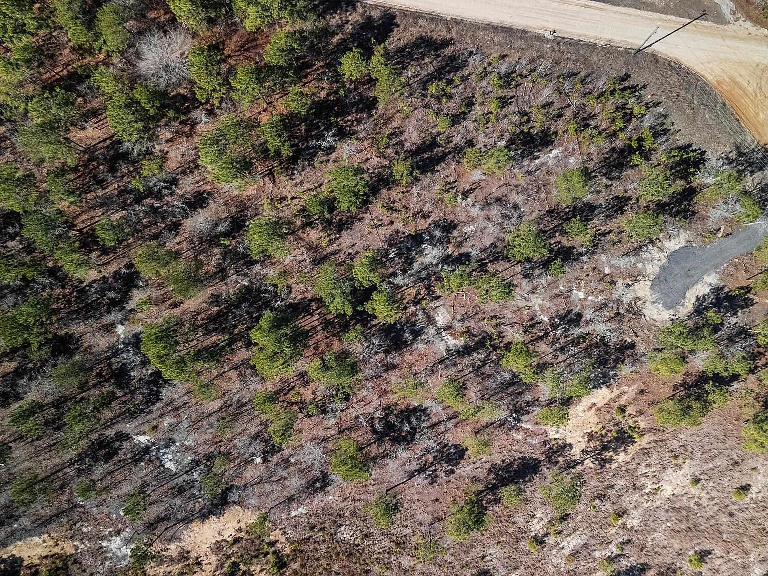 Spring Creek Rd Lugoff, SC 29078 - Thumbnail 5