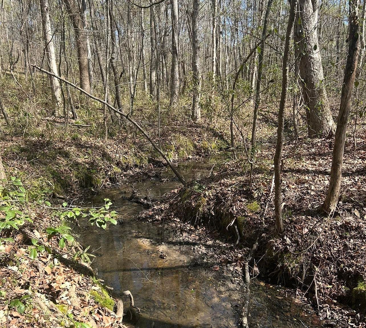 1856 River Rd Greeleyville, SC 29056 - Thumbnail 5