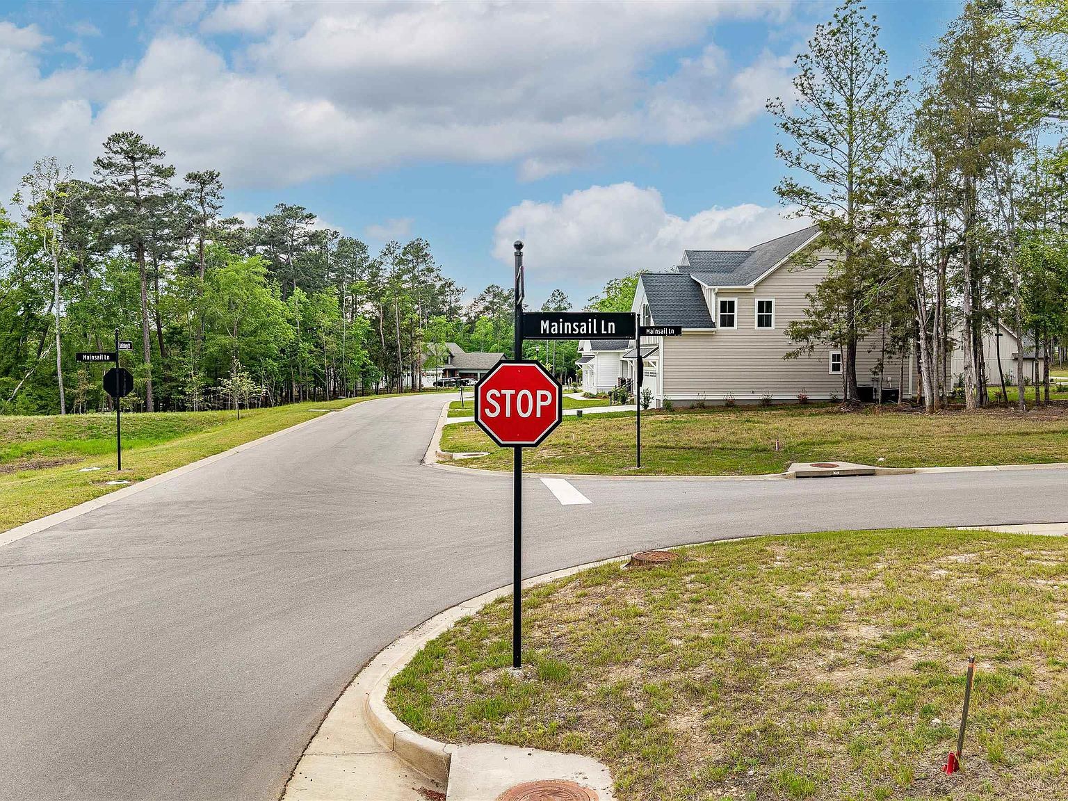 1005 Refuge Pl Lot 20 Chapin, SC 29036 - Thumbnail 5