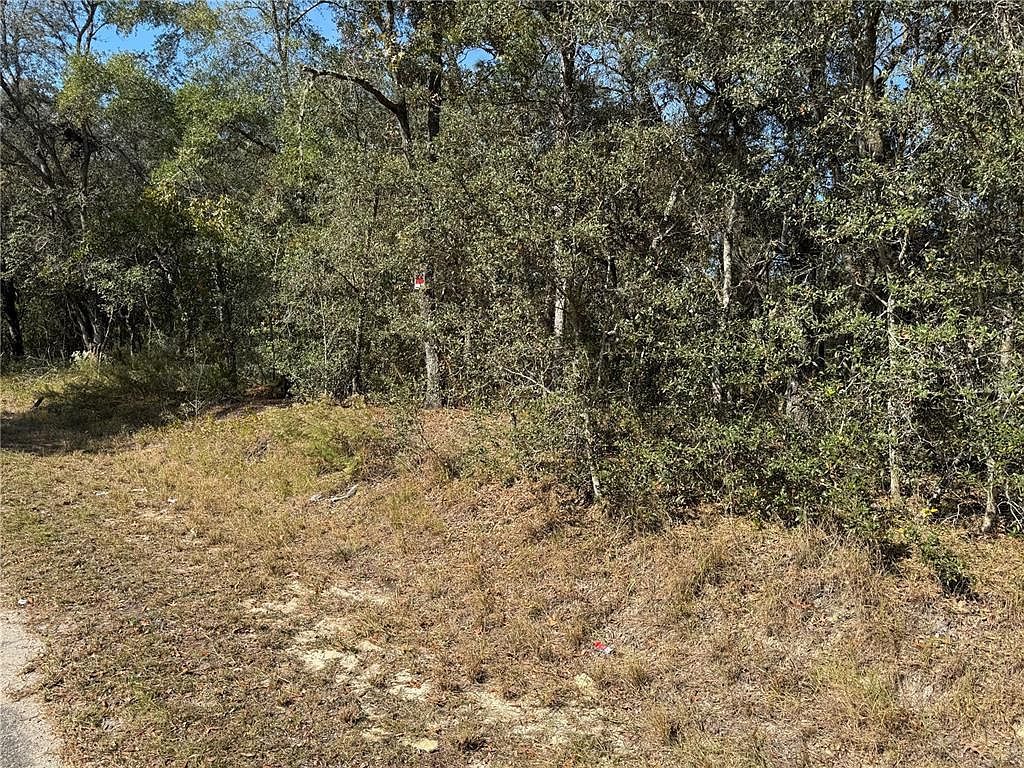 SE 115th Place Rd LOT 6 Ocklawaha, FL 32179 - Thumbnail 5
