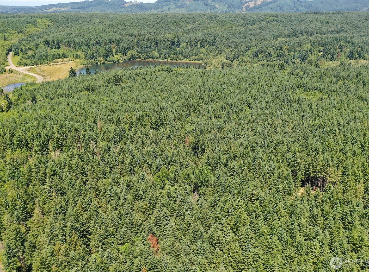 21500 Tono Rd SE Centralia, WA 98531 - Thumbnail 5