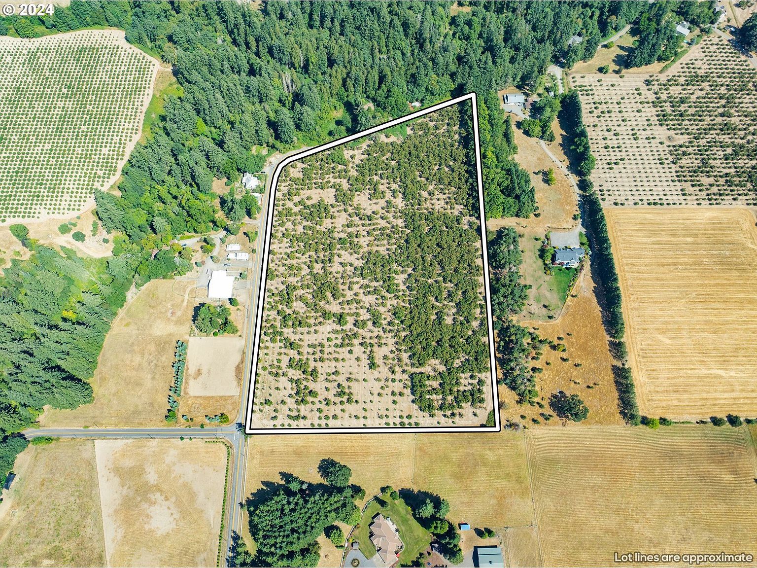 Bell And Baker Rd Sherwood, OR 97140 - Thumbnail 5