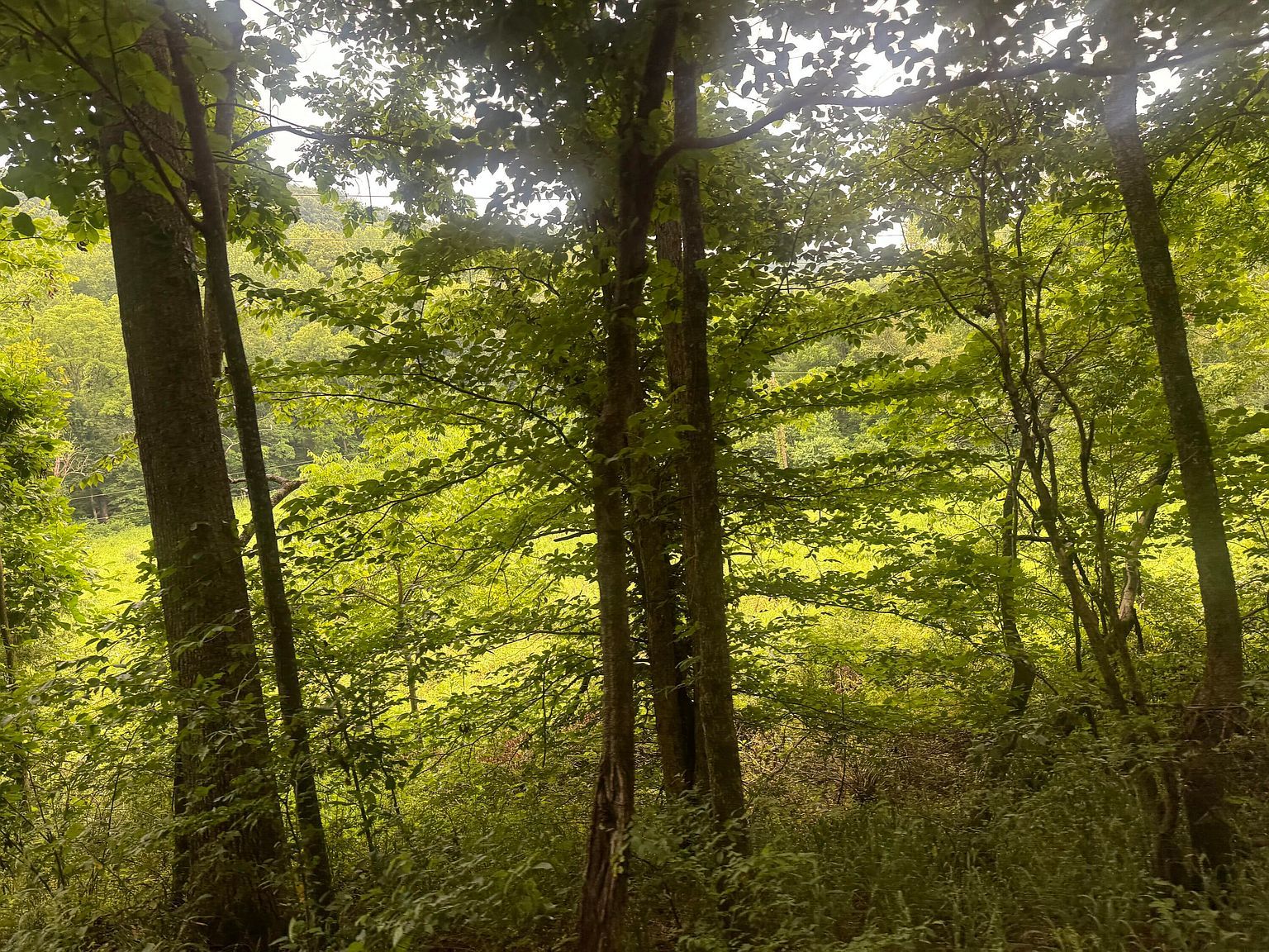 500 Hail Bridge Rd Somerset, KY 42501 - Thumbnail 5