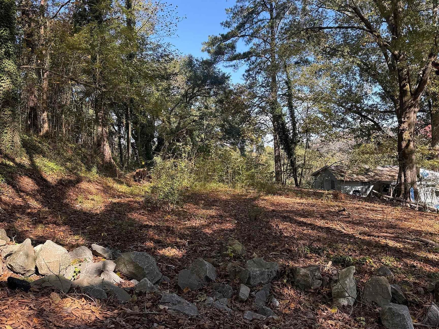 4 Smith Ln Guntersville, AL 35976 - Thumbnail 5