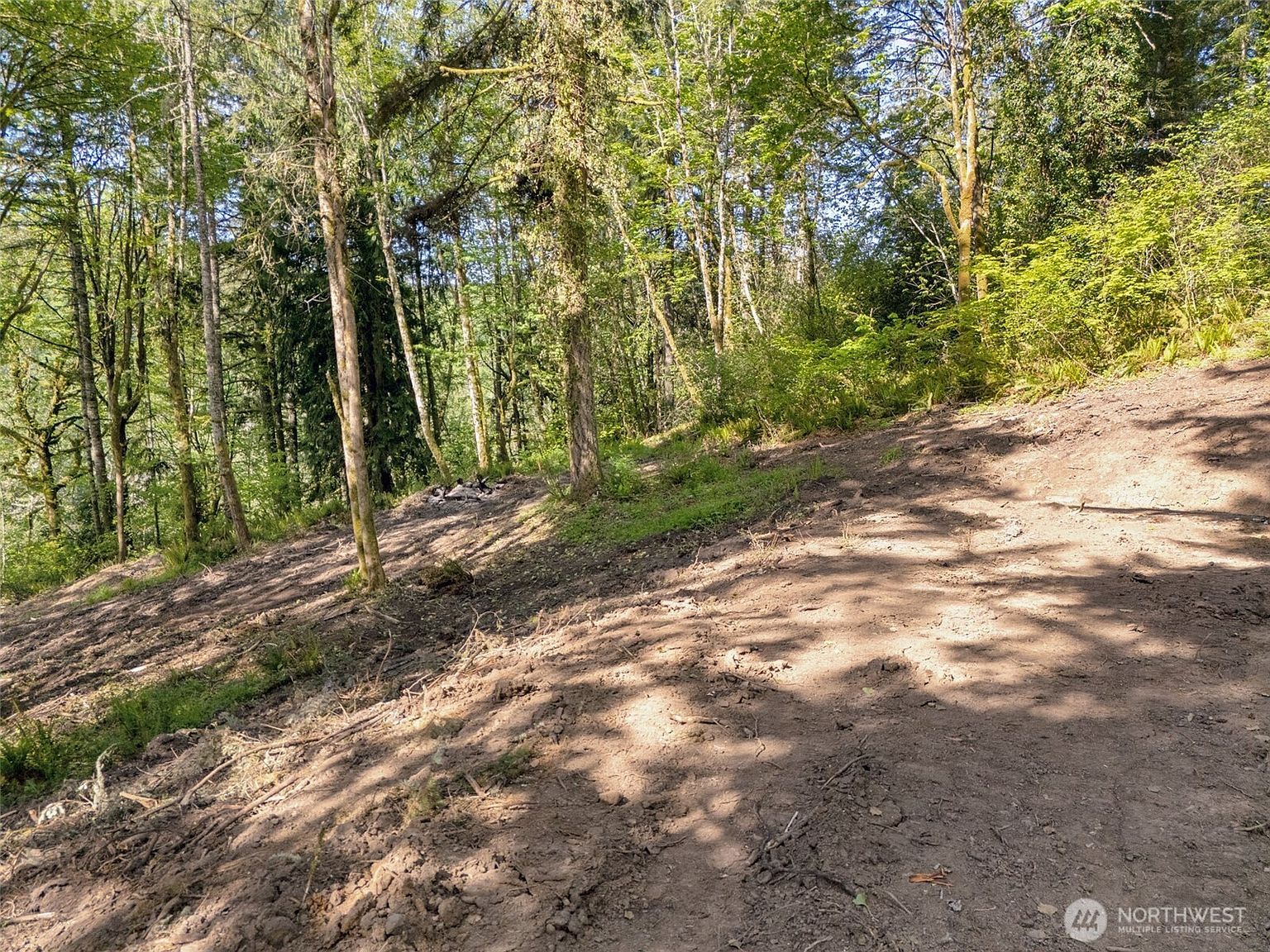 147 Old Spreadborough Rd Kalama, WA 98625 - Thumbnail 5